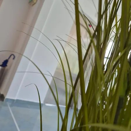 Hotel Excelsior Timișoara