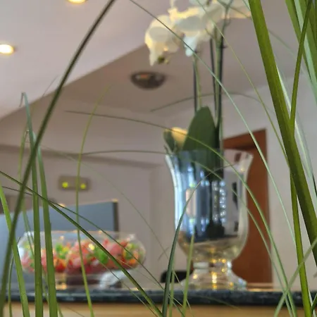 Excelsior Timişoara