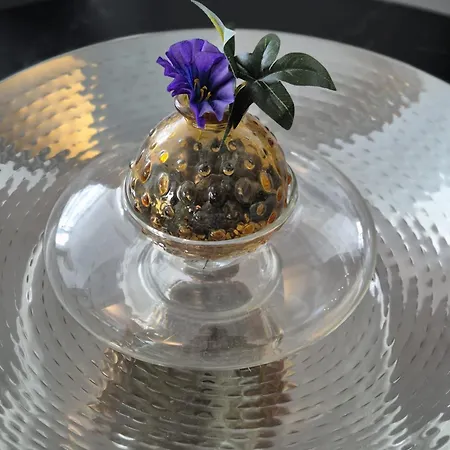 Excelsior Timişoara