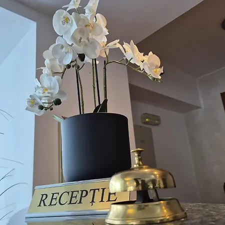 Excelsior 4* Timişoara