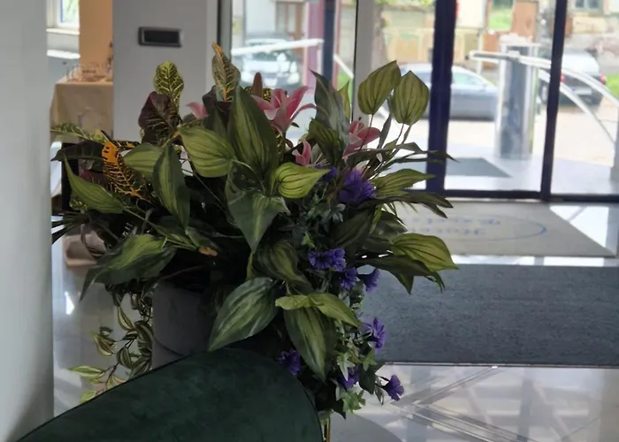 Excelsior Hotel Timisoara