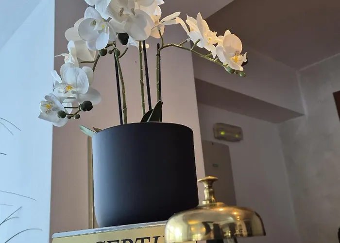 Excelsior 4* Timisoara