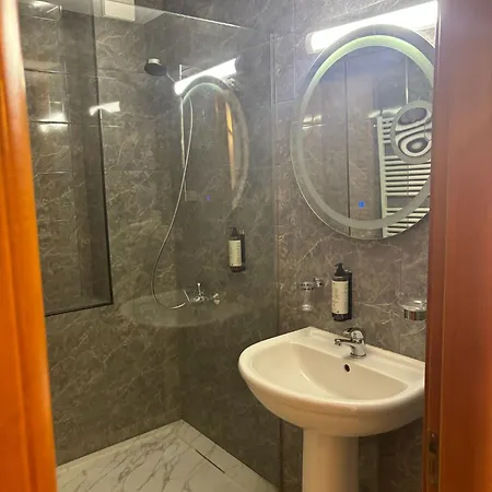 Excelsior 4* 蒂米什瓦拉