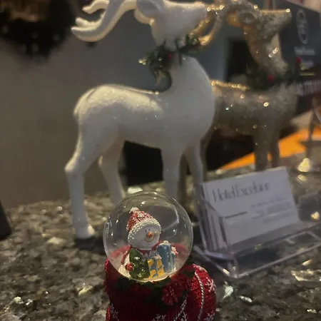 Excelsior 酒店 蒂米什瓦拉